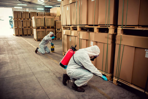 Best Mosquito Control Services  in Rogers, AR