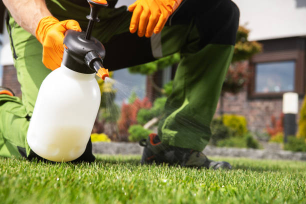 Best Rat Extermination Near Me  in Rogers, AR