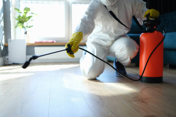 Best Flea Control Services  in Rogers, AR