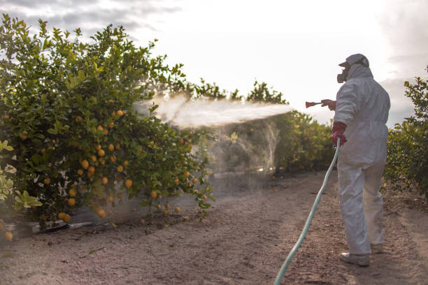 Best Residential Pest Control  in Rogers, AR
