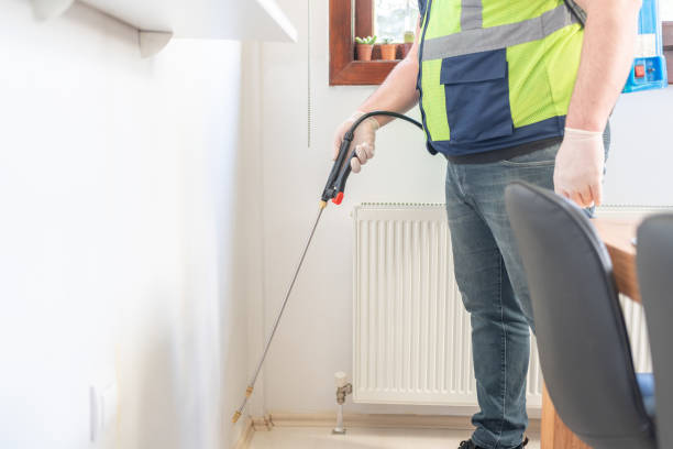Wasp Removal Services in Rogers, AR