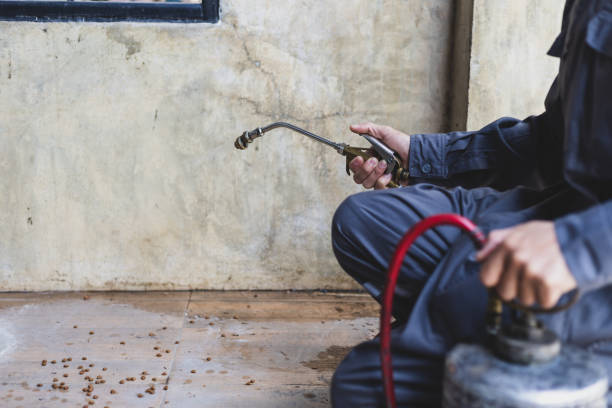 Best Affordable Pest Control Services  in Rogers, AR